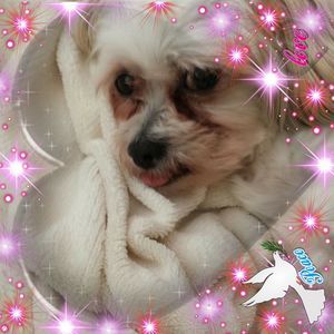 Meet your Posher, Terrie